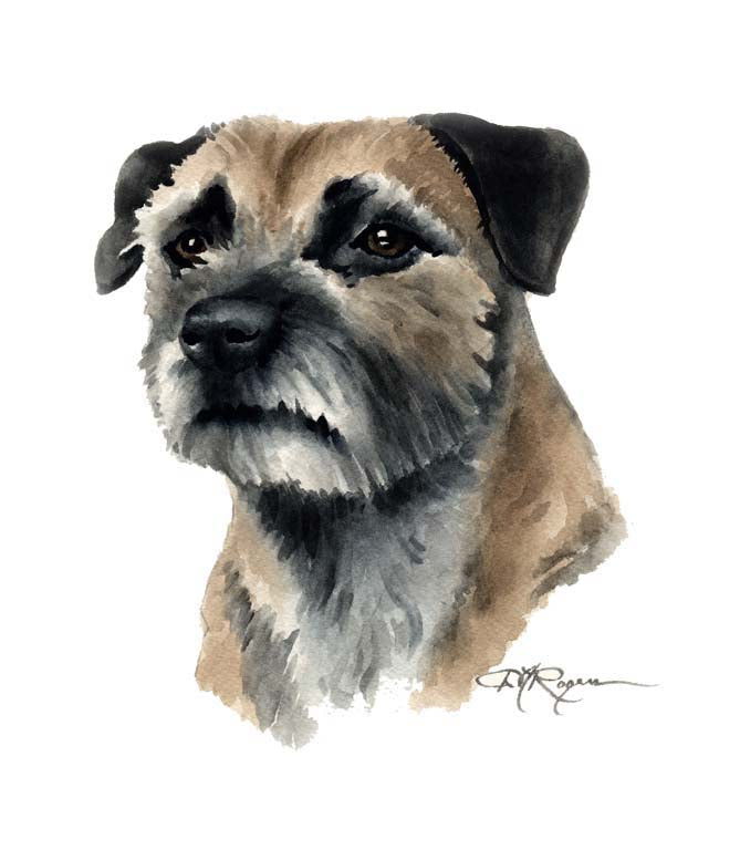 Border Terrier Dog Wall Art Print Poster Picture Painting Room Decor