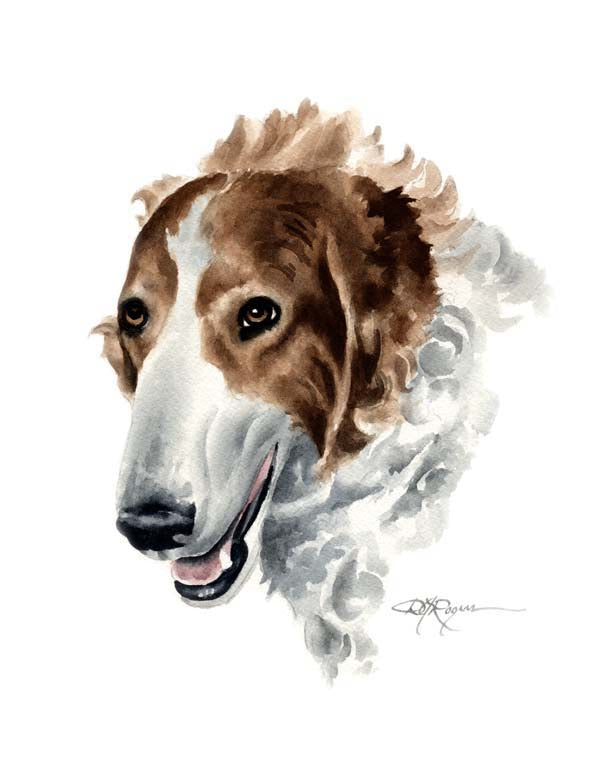 Borzoi Dog Wall Art Print Poster Picture Painting Living Room Decor