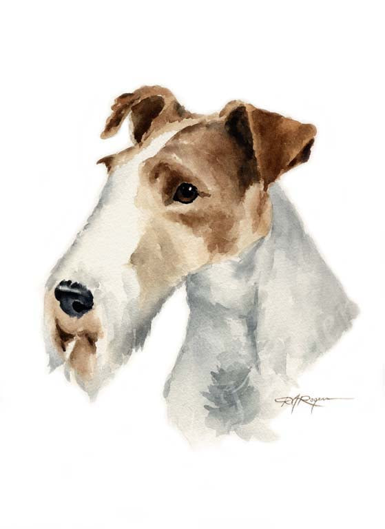 A Wire Fox Terrier 0 print based on a David J Rogers original watercolor