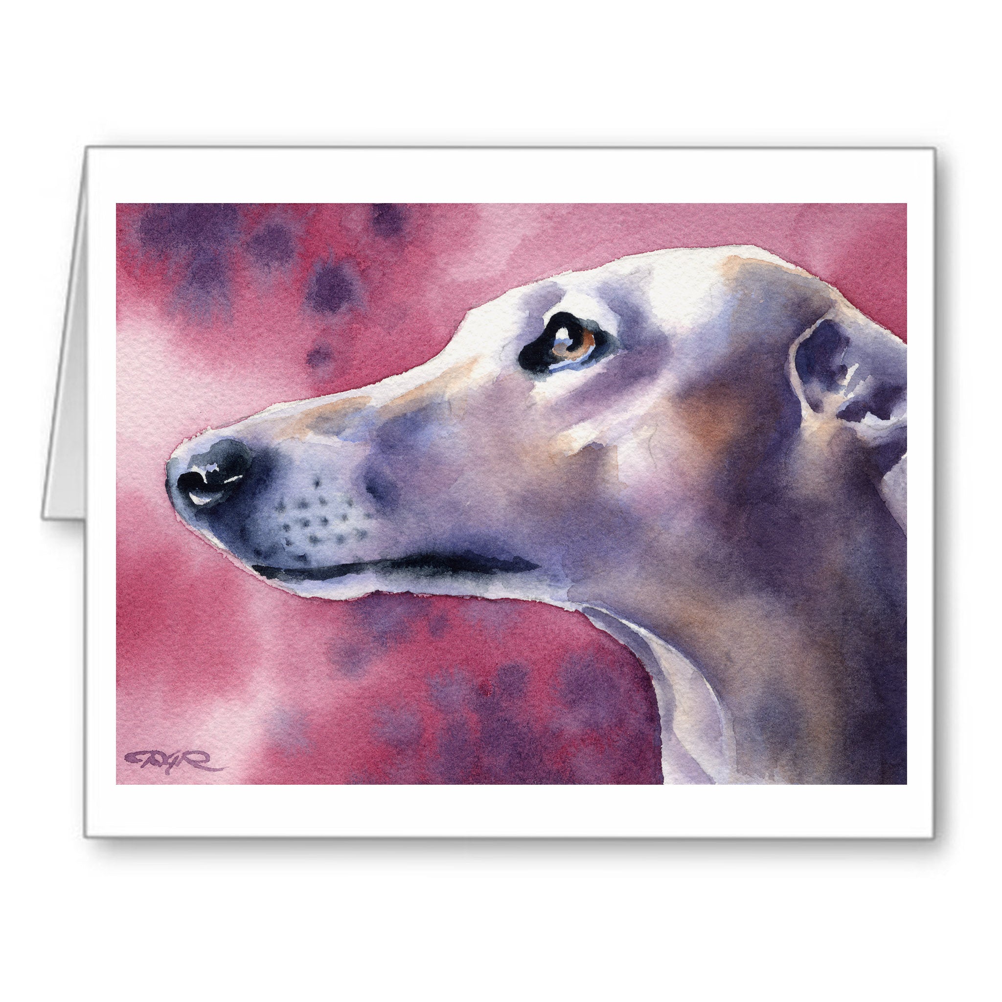 Greyhound Watercolor Note Card Art by Artist DJ Rogers