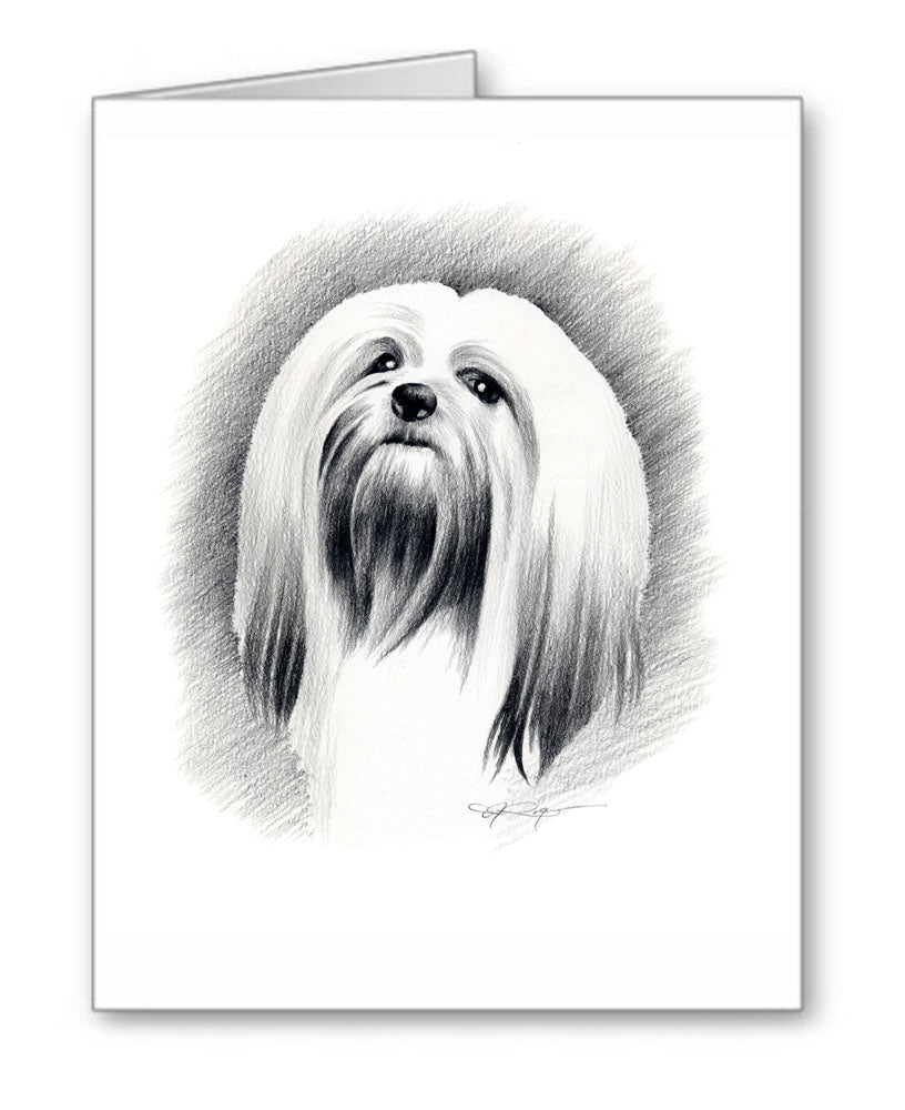 Lhasa Apso Pencil Note Card Art by Artist DJ Rogers