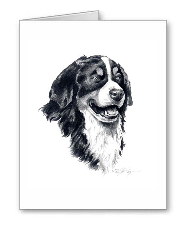 A Bernese Mountain Dog portrait print based on a David J Rogers original watercolor