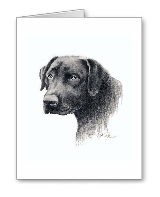 A Black Labrador portrait print based on a David J Rogers original watercolor