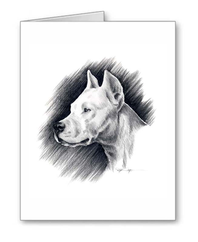 A Dogo Argentino portrait print based on a David J Rogers original watercolor