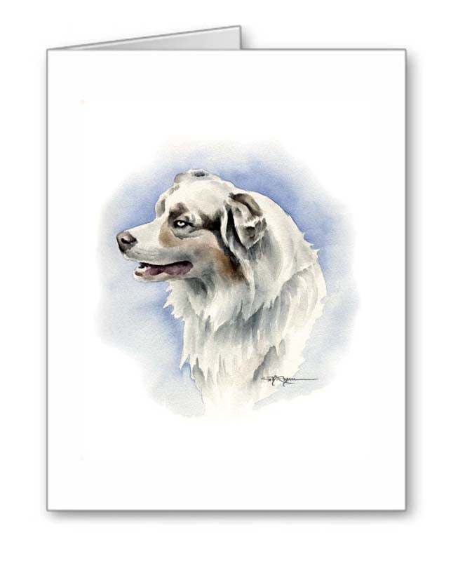 A Australian Shepherd portrait print based on a David J Rogers original watercolor