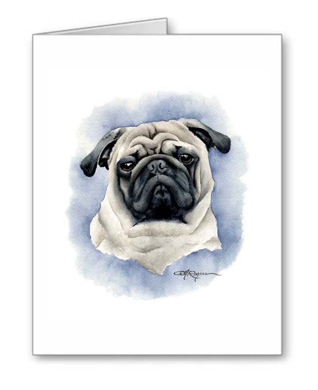 A Pug portrait print based on a David J Rogers original watercolor