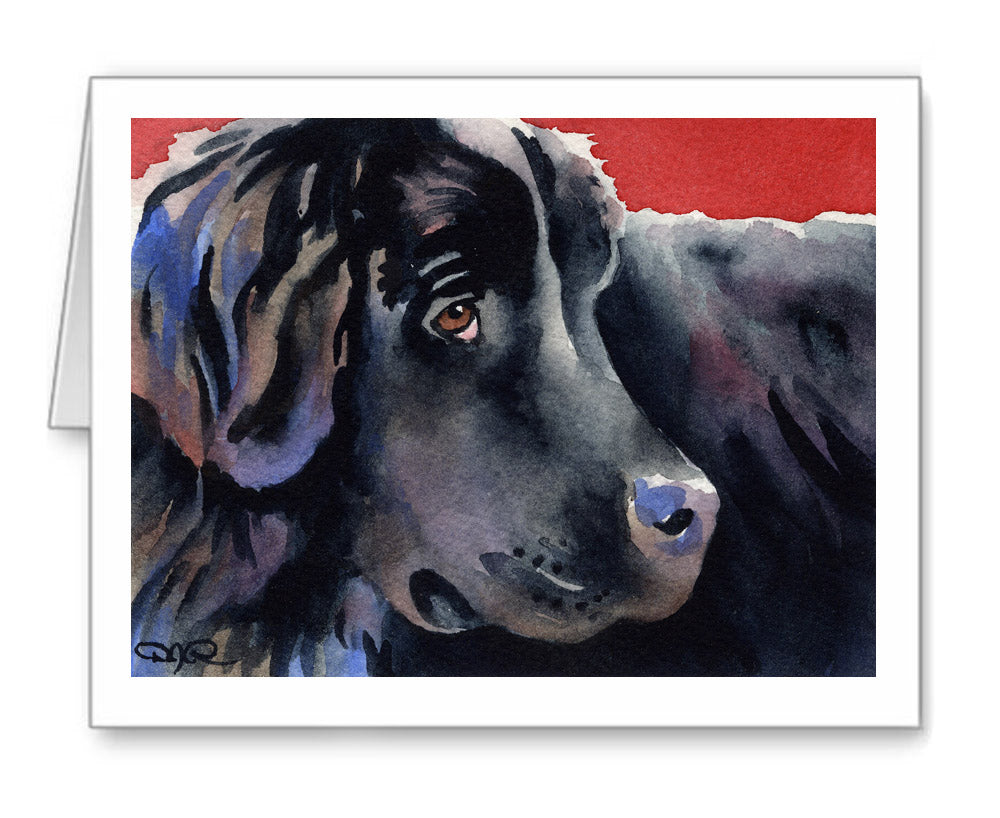 Newfoundland Watercolor Note Card Art by Artist DJ Rogers