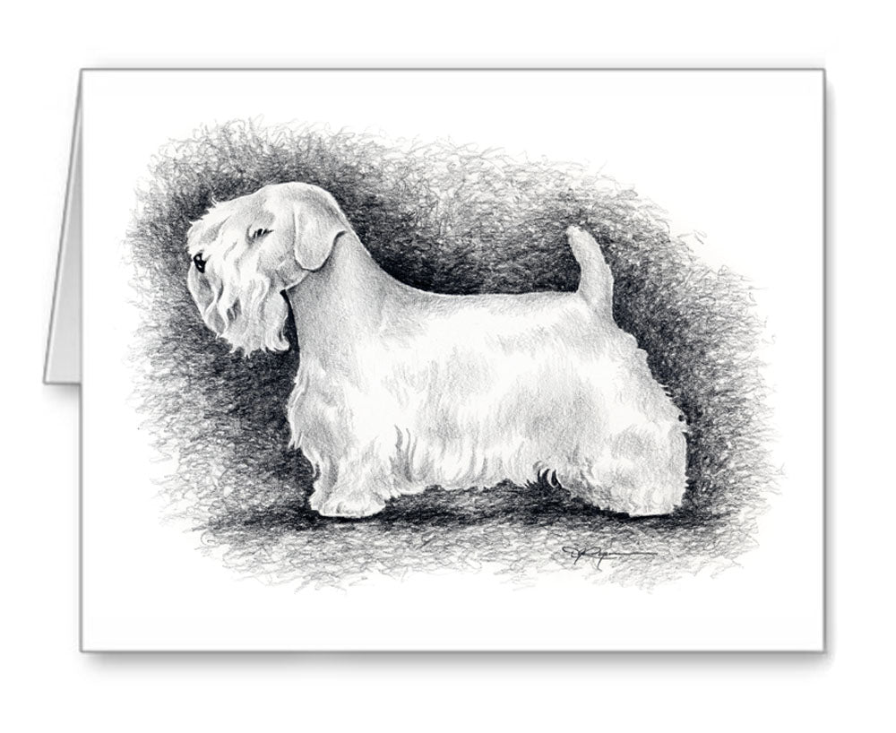 Sealyham Terrier Pencil Note Card Art by Artist DJ Rogers