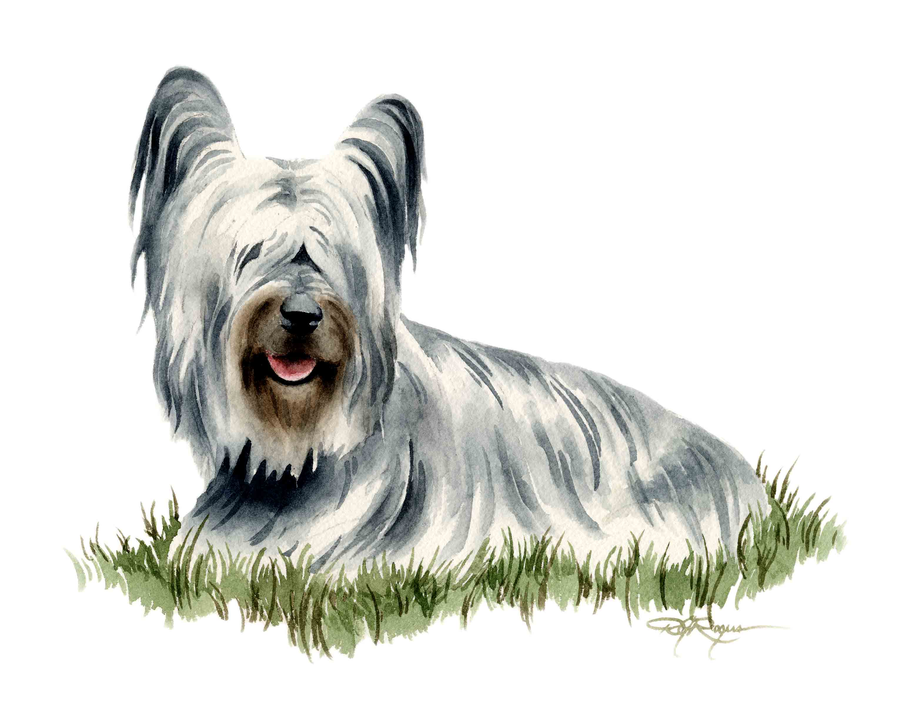 Silky Terrier Traditional Watercolor Dog Art Print by Artist DJ Rogers